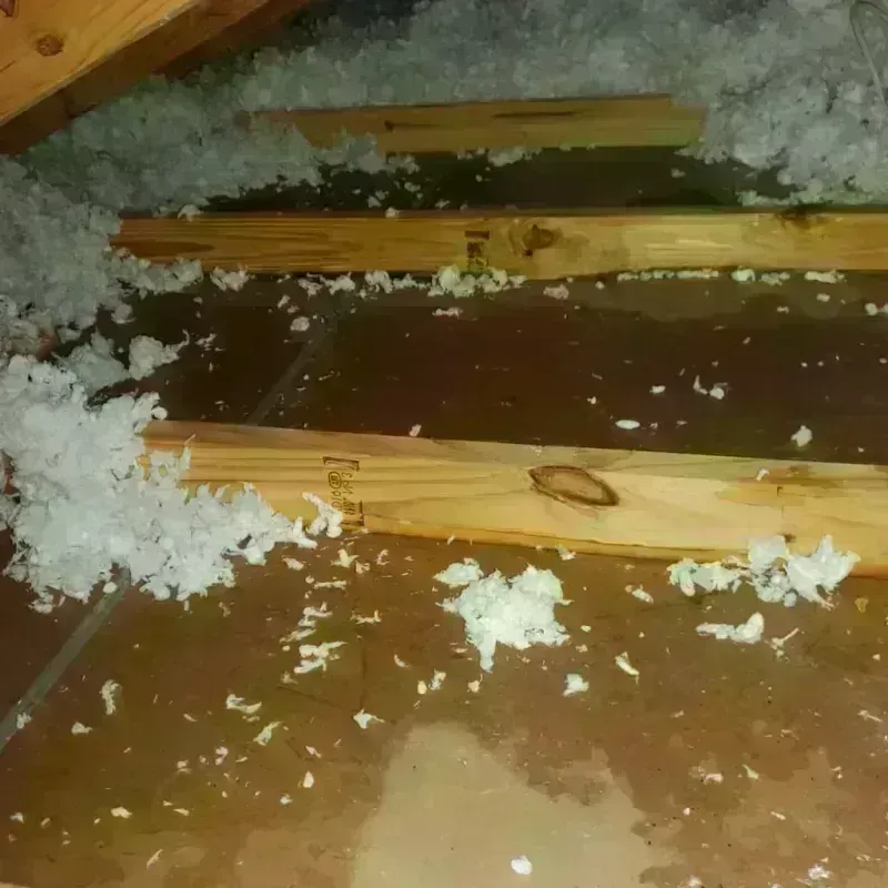 Attic Water Damage in Lockport, LA