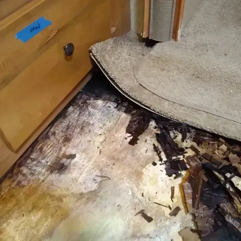 Wood Floor Water Damage in Lockport, LA